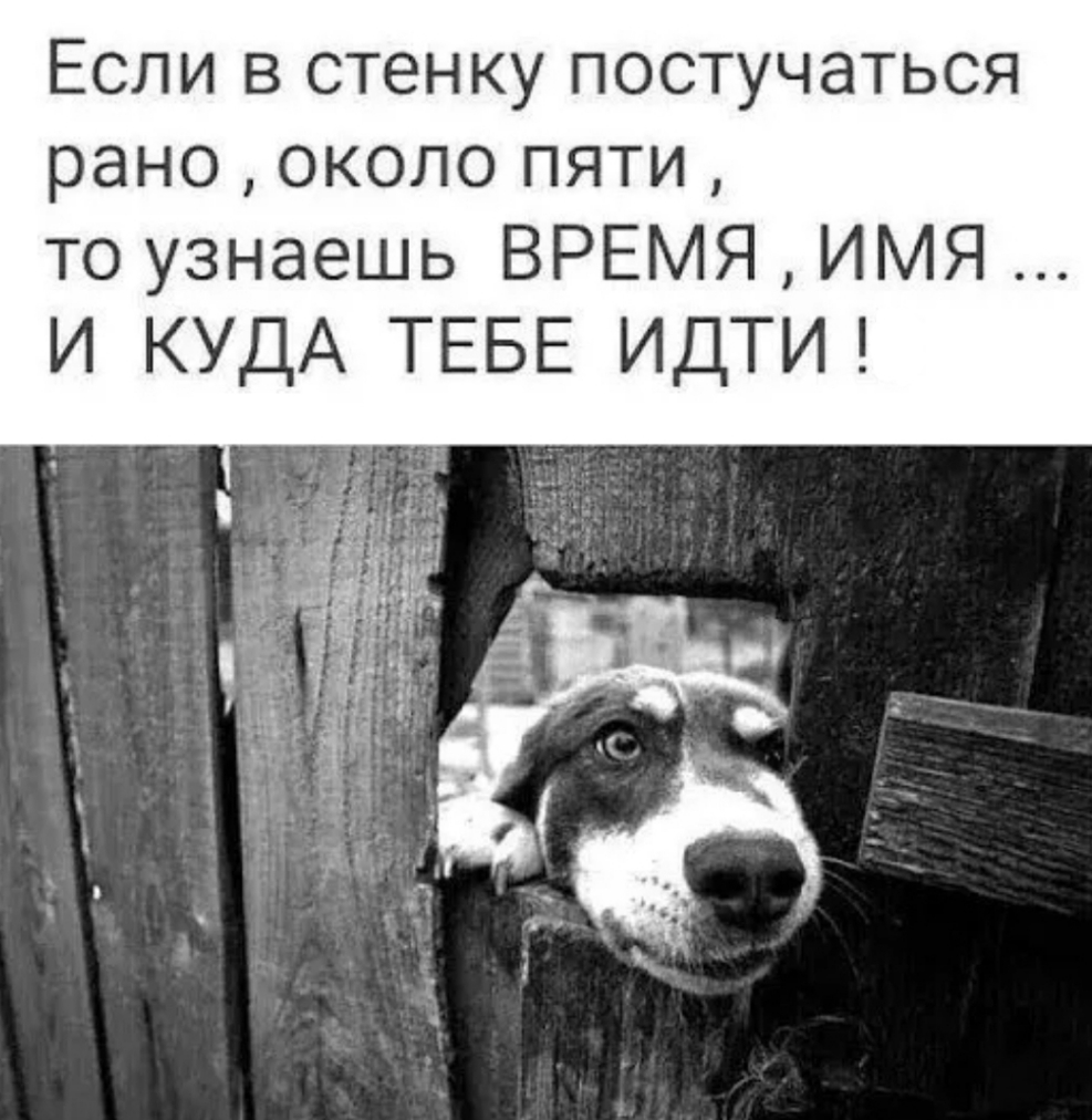 Если в стенку постучаться рано около пяти то узнаешь ВРЕМЯ ИМЯ И КУДА ТЕБЕ ИДТИ
