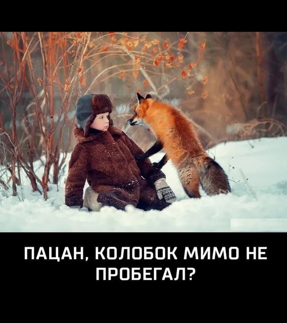 ПАЦАН КОЛОБОК МИМО НЕ ПРОБЕГАЛ