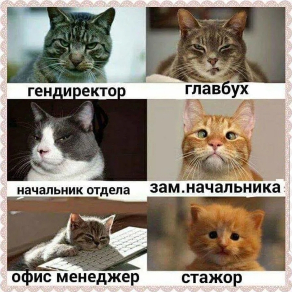 ген И ЕКТО о иёТіенеджер стажор