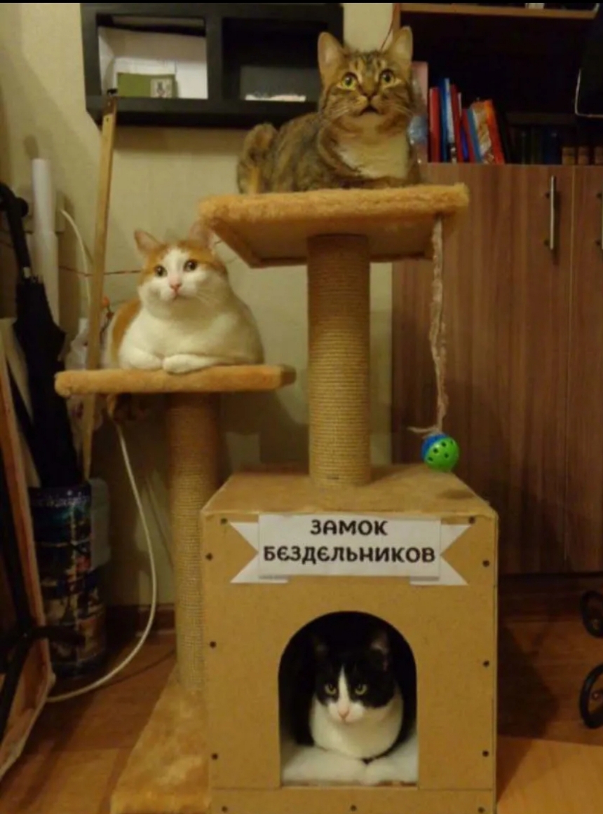ЗдМОК БСЗДСЛЬНИКОВ ь