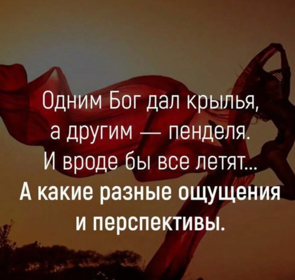 Одним Бог дал крылья другим пенделя И вроде бы все летят А какие разные ощущения и перспективы