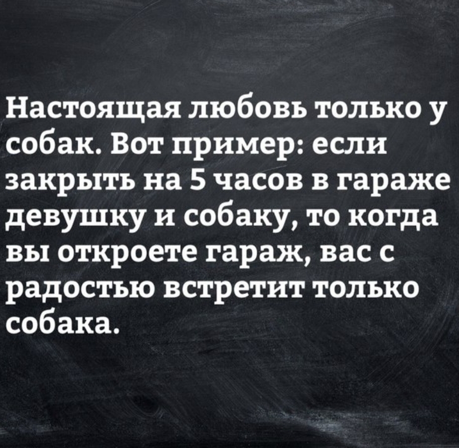 Настоящая любовь только у собак Вот пример если закрыть на 5 часов в гараже девушку и собаку то когда вы откроете гараж вас с радостью встретит только собака