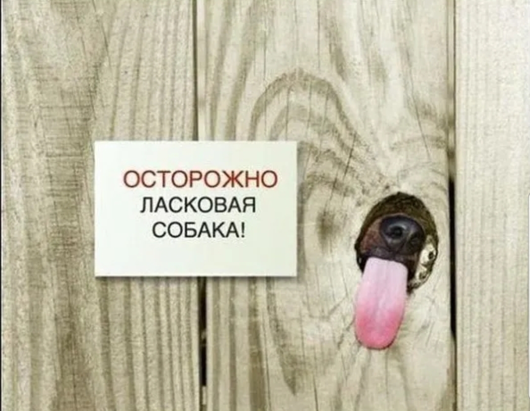 ОСТОРОЖНО ЛАСКОВАЯ СОБАКА