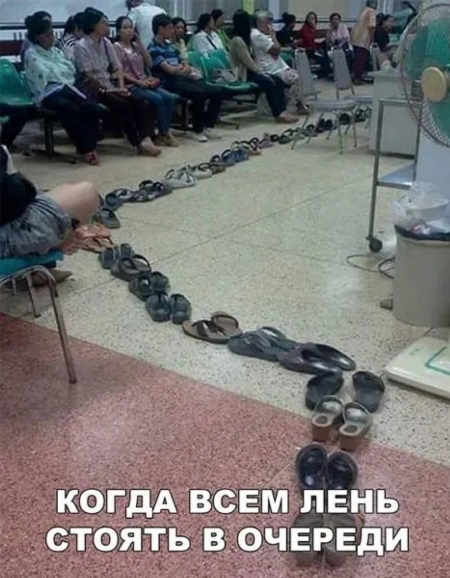 54 ЬВВ ФЧЕНЕД