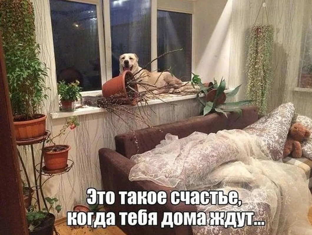 гау то таково астье иотда теіія дома