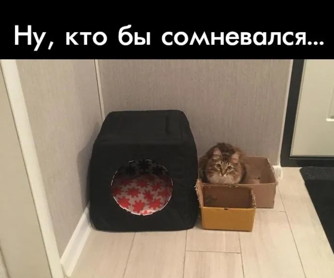 Ну кто бы сомневался