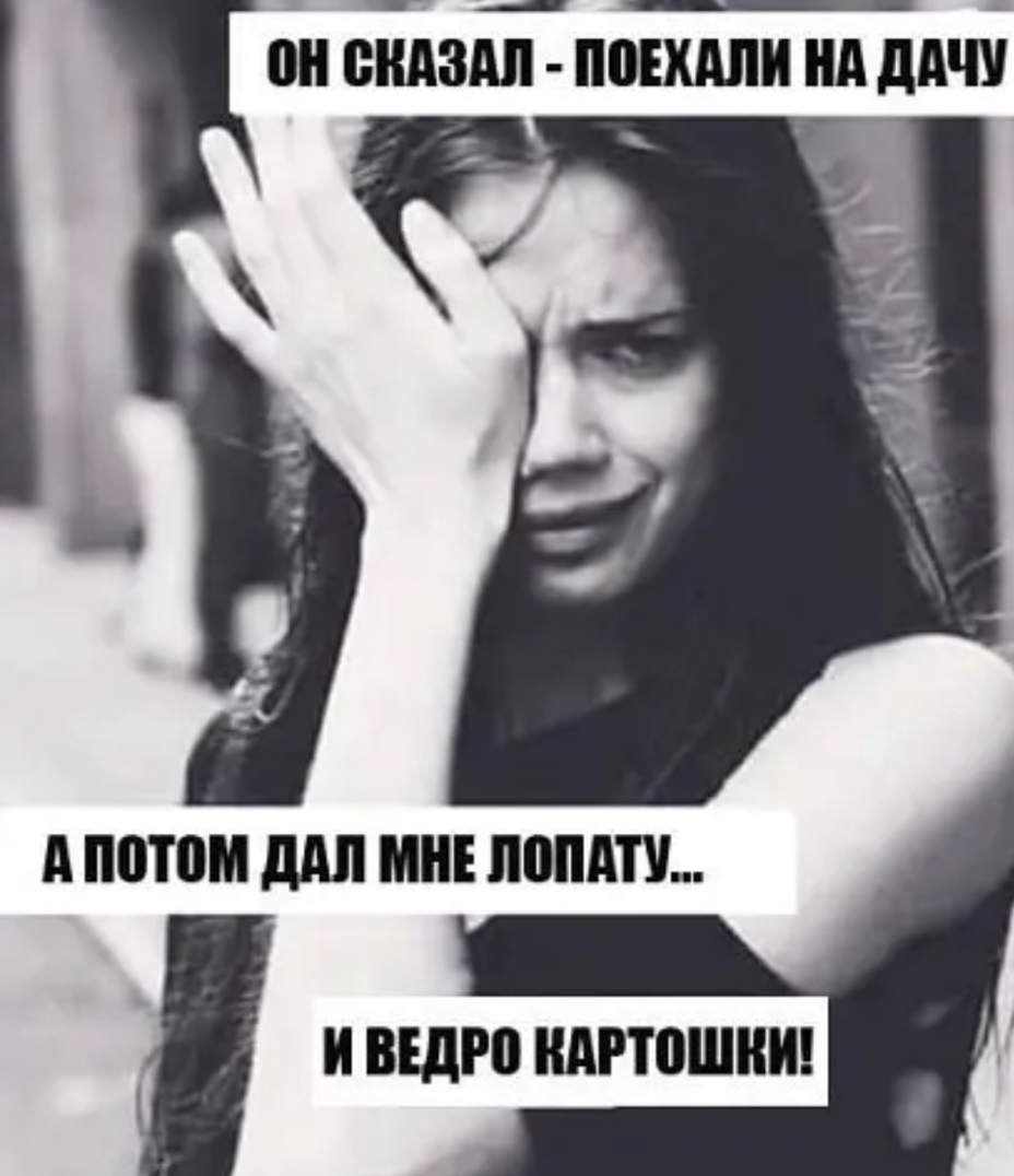 д ППП ШШ МНЕ ЛШАП И ВШРП АРТОШКИ
