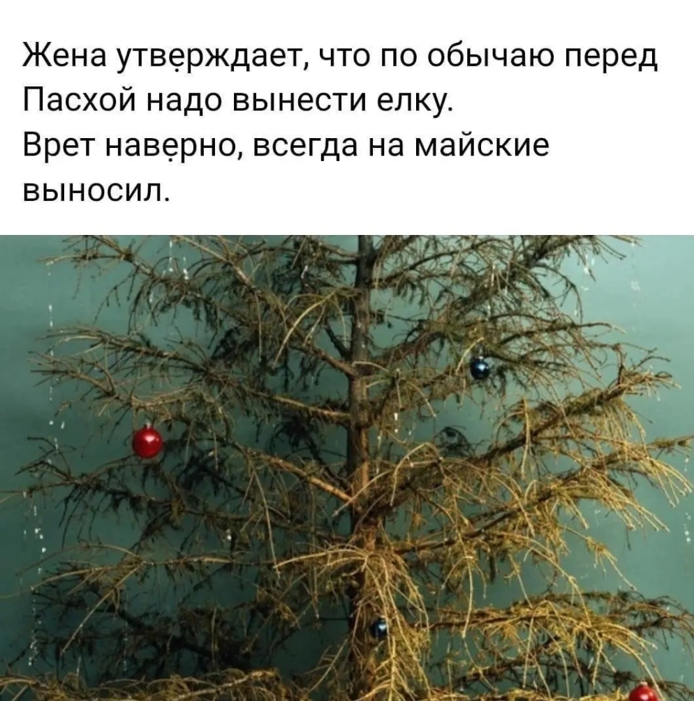 Жена утверждает что по обычаю перед Пасхой надо вынести елку Врет наверно всегда на майские выносил
