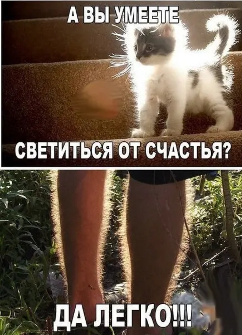 дА Пикет