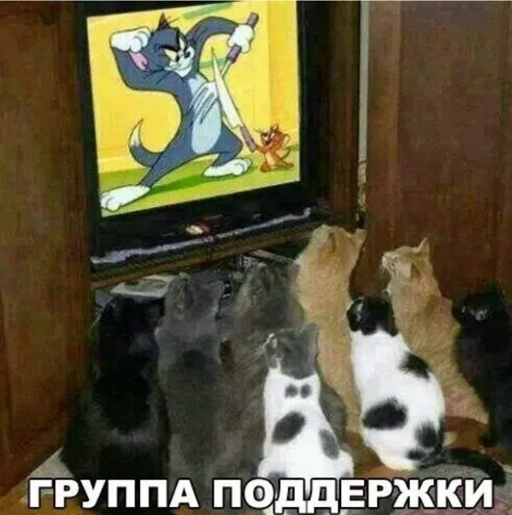ЁРУППА паддшки