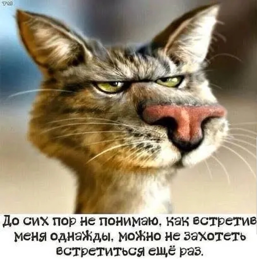 До сих пор не понимаю Как встретив меня еднаЖды моЖно не захотеть встретиться ещё раз