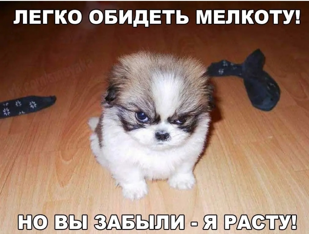 ЛЕГКО ОБИДЕТЬ МЕЛКОТУ ш3