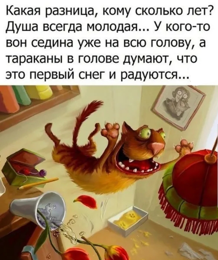 Какая разница кому сколько лет Душа всегда молодая У кого то вон седина уже на всю голову а тараканы в голове думают что это первый снег и радуются