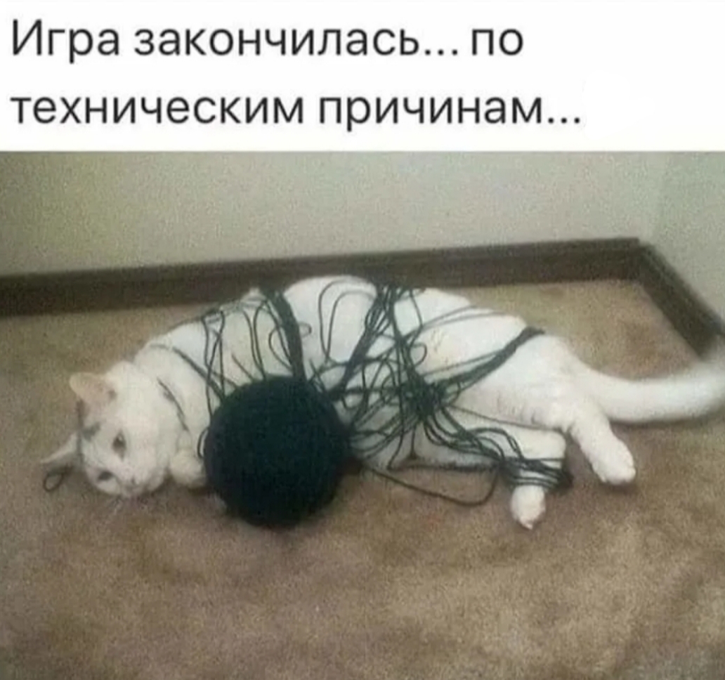 Игра закончилась по техническим причинам