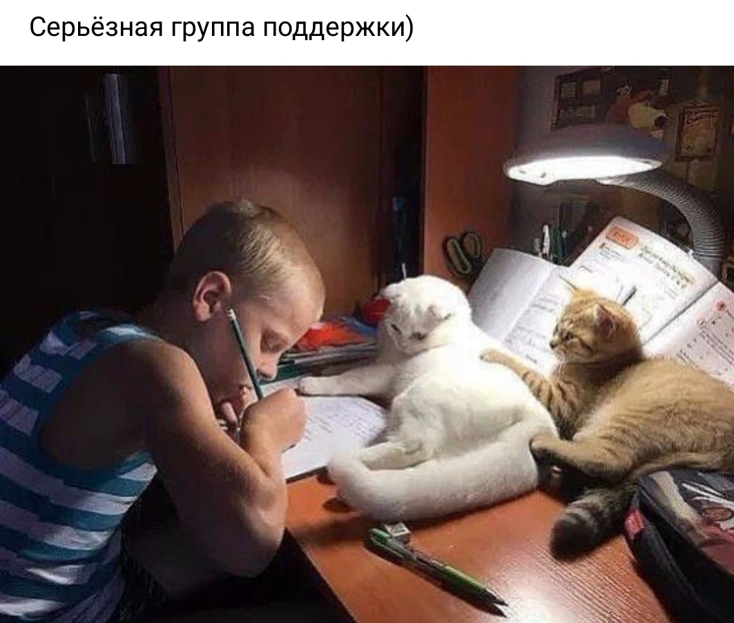 Серьёзная группа поддержки