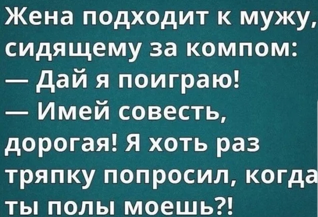 Жена подходит к мужу сидящему за компом дай я поиграю Имей совесть дорогая Я хоть раз тряпку попросил когд ты полы моешь