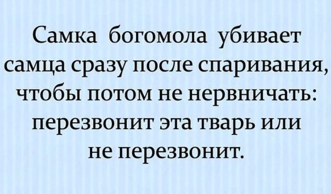 Самка богомола убивает самца сразу после спаривания чтобы потом не нервничать перезвонит эта тварь или не перезвонит