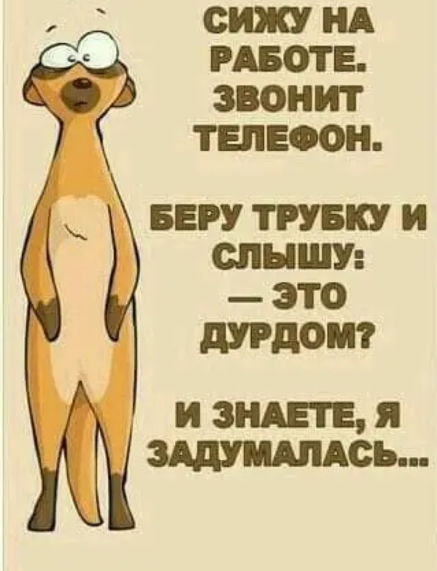 СИЖУ НА РАБОТЕ ЗВОНИТ ТЕЛЕФОН БЕРУ ТРУБКУ И МБШ ЭТО дУРдОШ и видная зшидпдсь