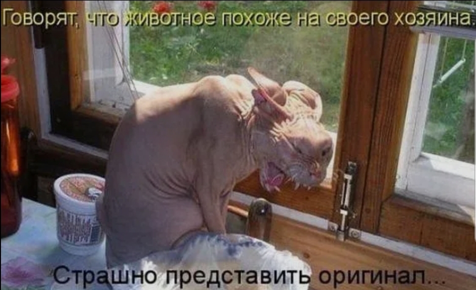 Говорят цггэ Живота похож