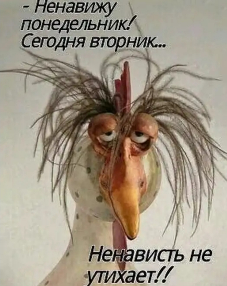 Ненавщ понедельни Сегодня вюдним Н