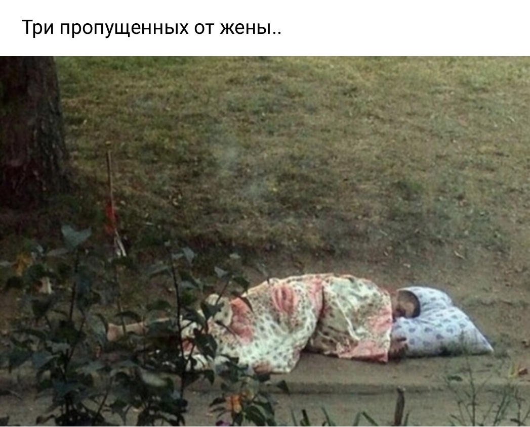 Три пропущенных от жены