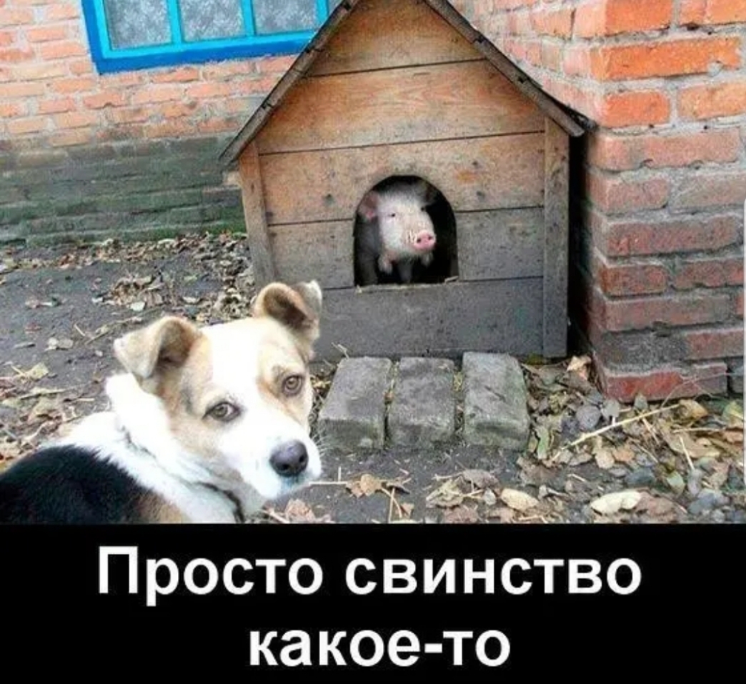О В Т С Н И В С О Т С 0 р П о и е 0 К а К