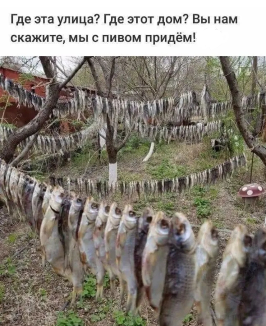Где эта улица Где этот дом Вы нам скажите мы с пивом придём Ам дч _ Ё 1 интМ
