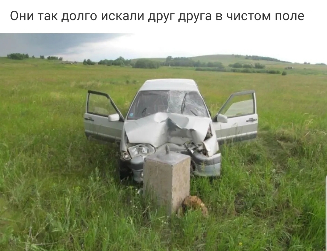 ОНИ так ДОЛГО ИСКЭЛИ ДРУГ друга В ЧИСТОМ ПОЛЗ
