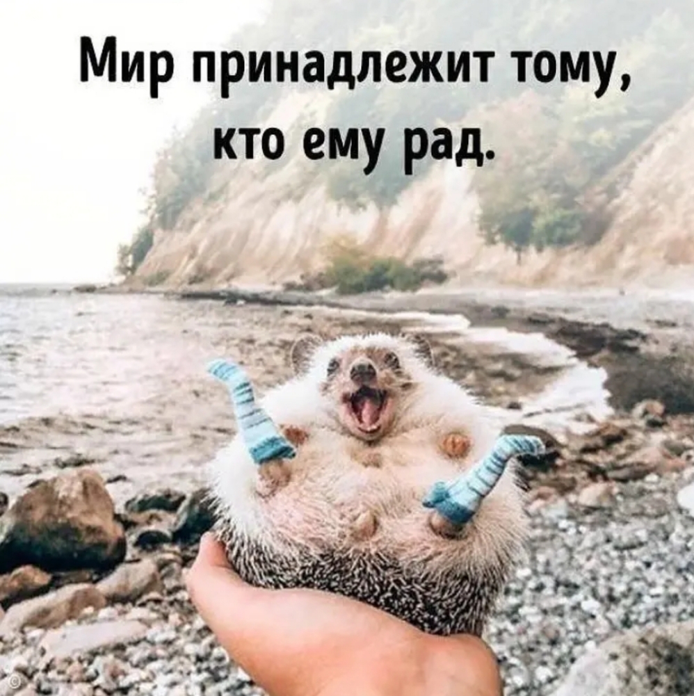 Мир принадлежит тому кто емутрад