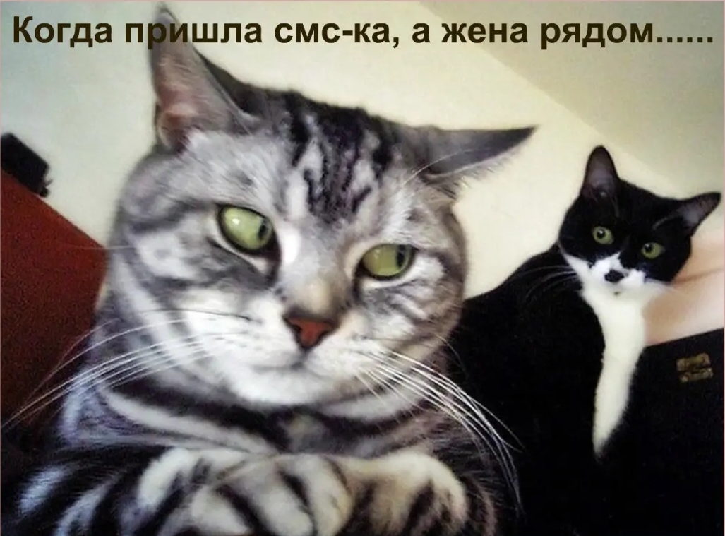 Когда п шла смс ка а жена рядом