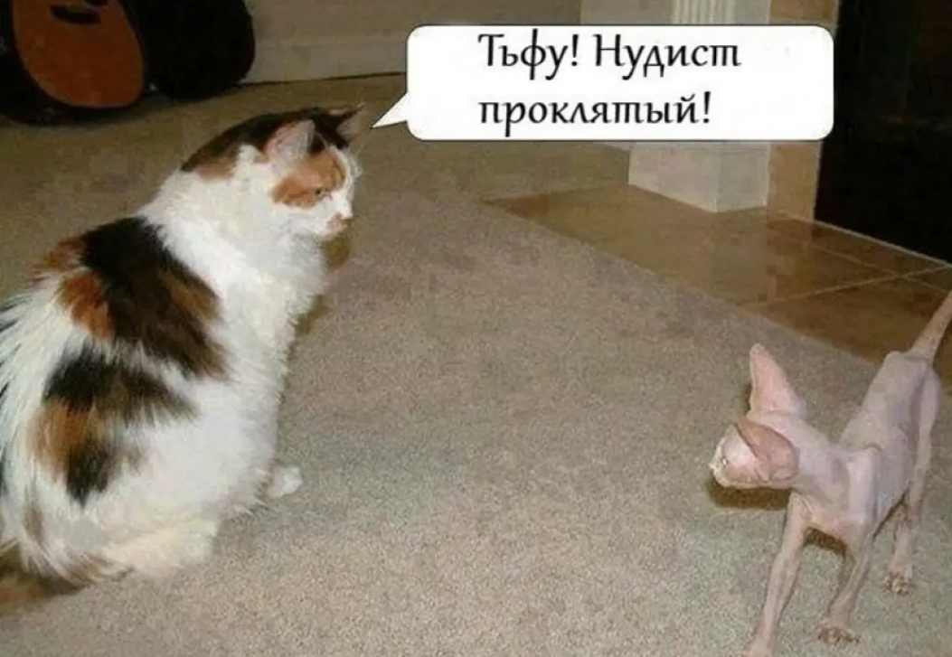 Тьфу Нудист прокятый