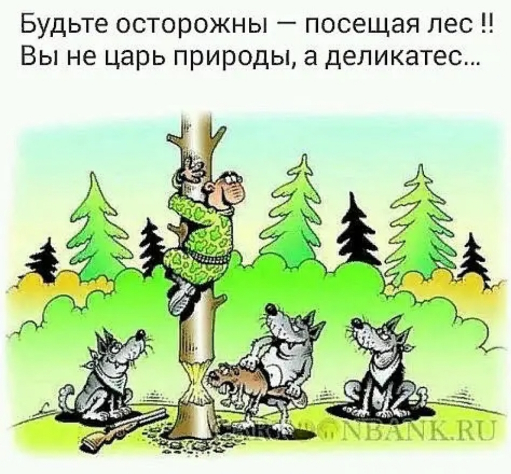 Будьте осторожны посещая лес Вы не царь природы а деликатес