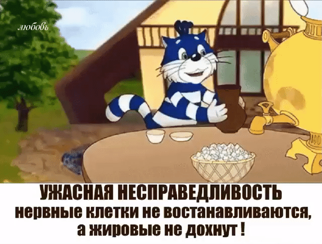 именин НЕСПРАВЕДЛИВЕСТЬ наивные ипетии не востанавливаютсп а типовые не дохнут