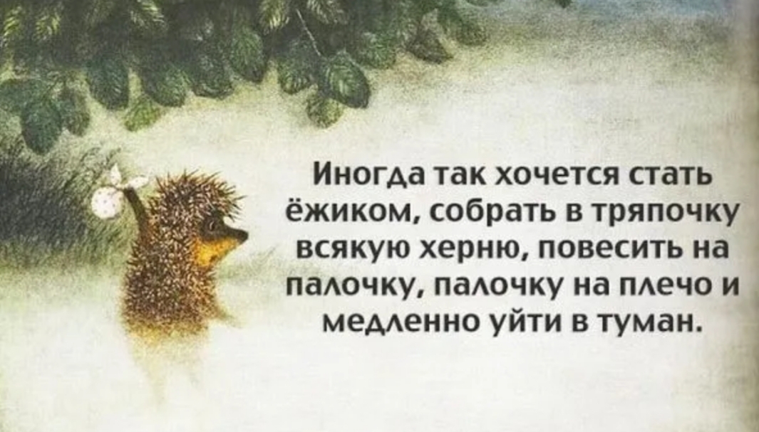 Иногда так хочется стать ёжиком собрать в тряпочку всякую херню повесить на 1 падочку паАочку на пдечо и меменно уйти в туман