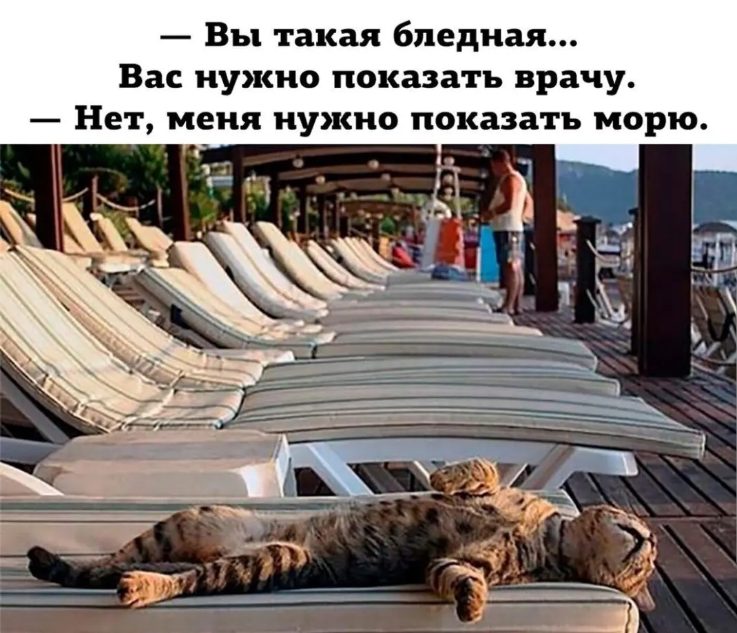Вы такая бледная Вас нужно показать врачу Нет меня нужно показать морю