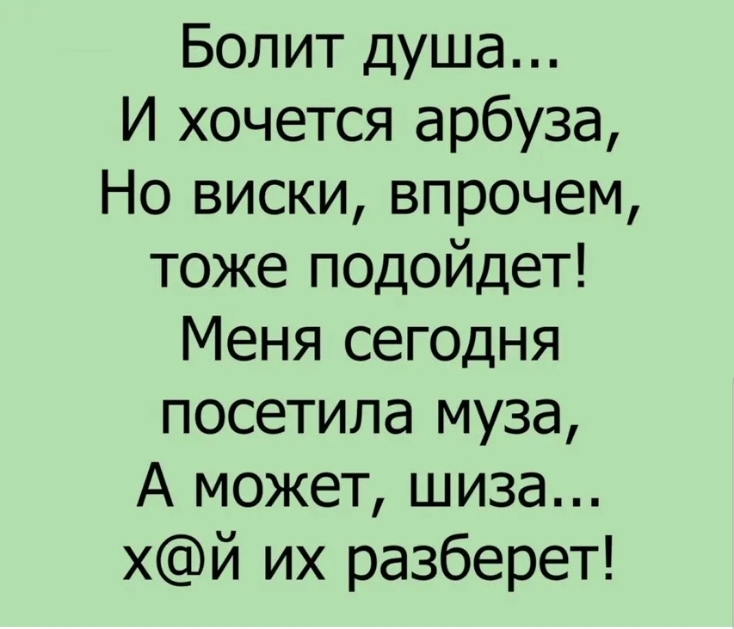 Болит душа И хочется арбуза Но виски впрочем тоже подойдет Меня сегодня посетила муза А может шиза хй их разберет