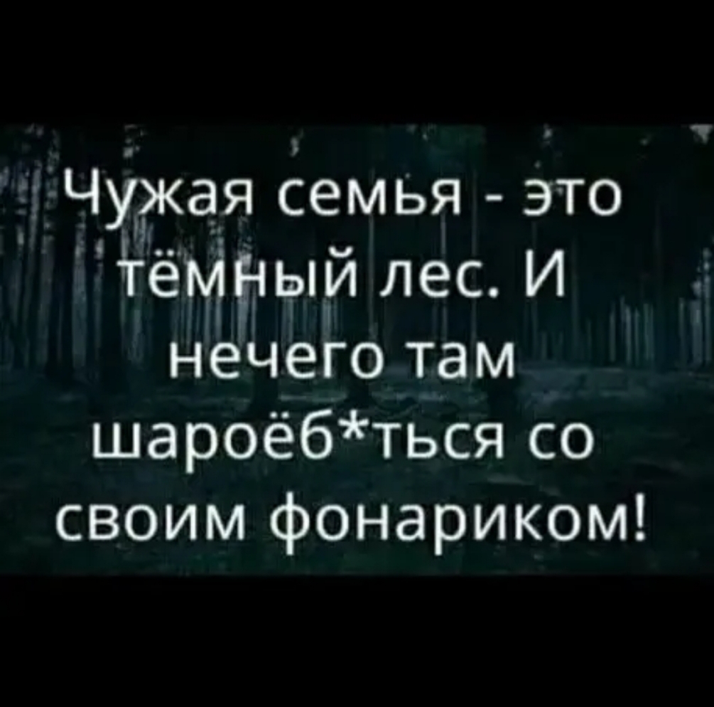 Чужая семья это тёмный лес И нечего там шароёбться со своим фонариком