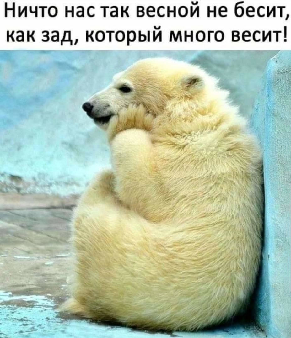Ничто нас так весной не бесит как зад который много весит