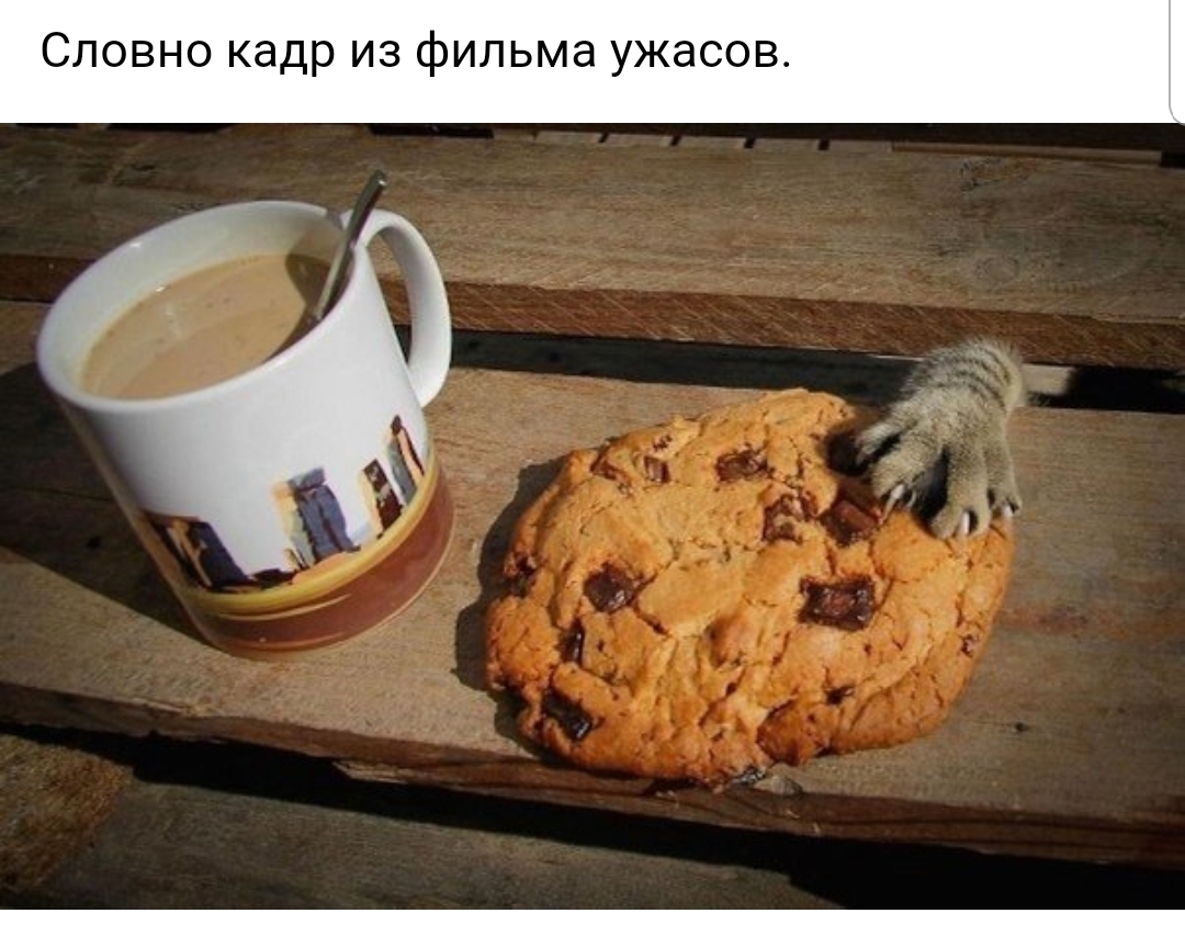 Словно кадр из фильма ужасов