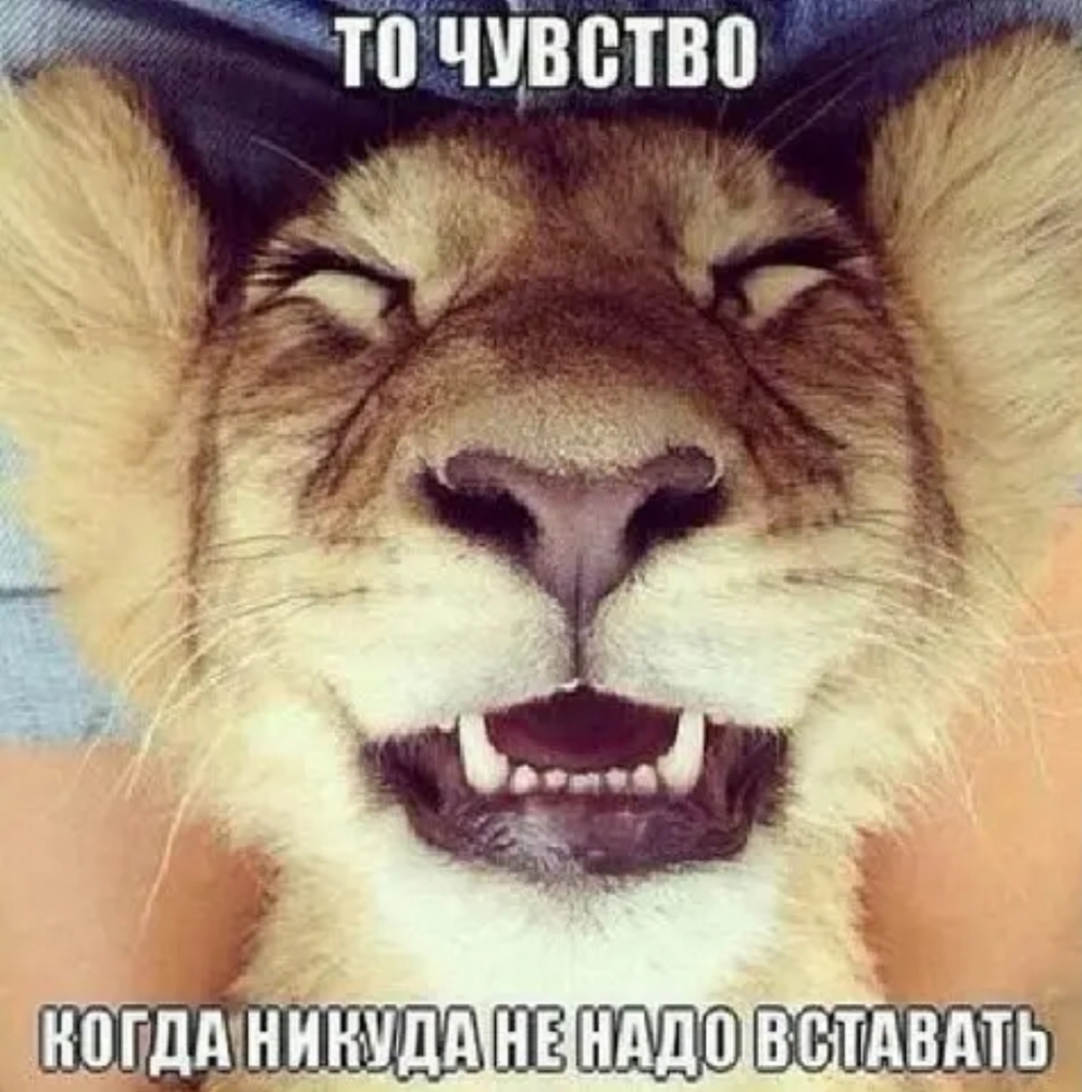 ТП ЧУВВТВ