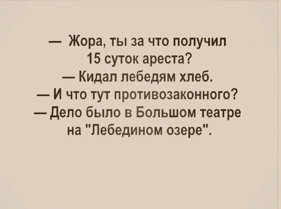 Жора ты за что получил 15 суток ареста Кидап пебедям хлеб И что тут противозаконного Дело было в Большом театре на Лебедином озере