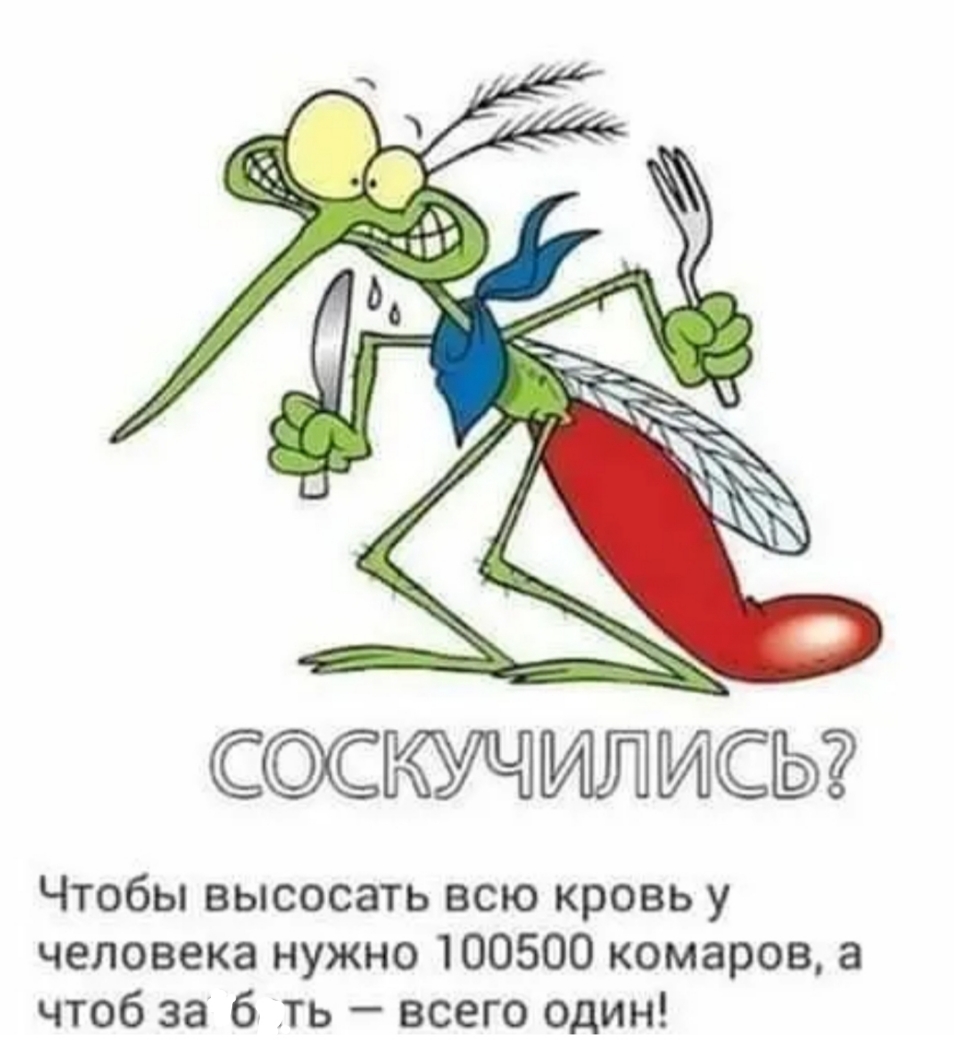 ССИЛИСЫ Чтобы высосать асю кровь у человека нужно 100500 комаров а чтоб за 6 ть всего один