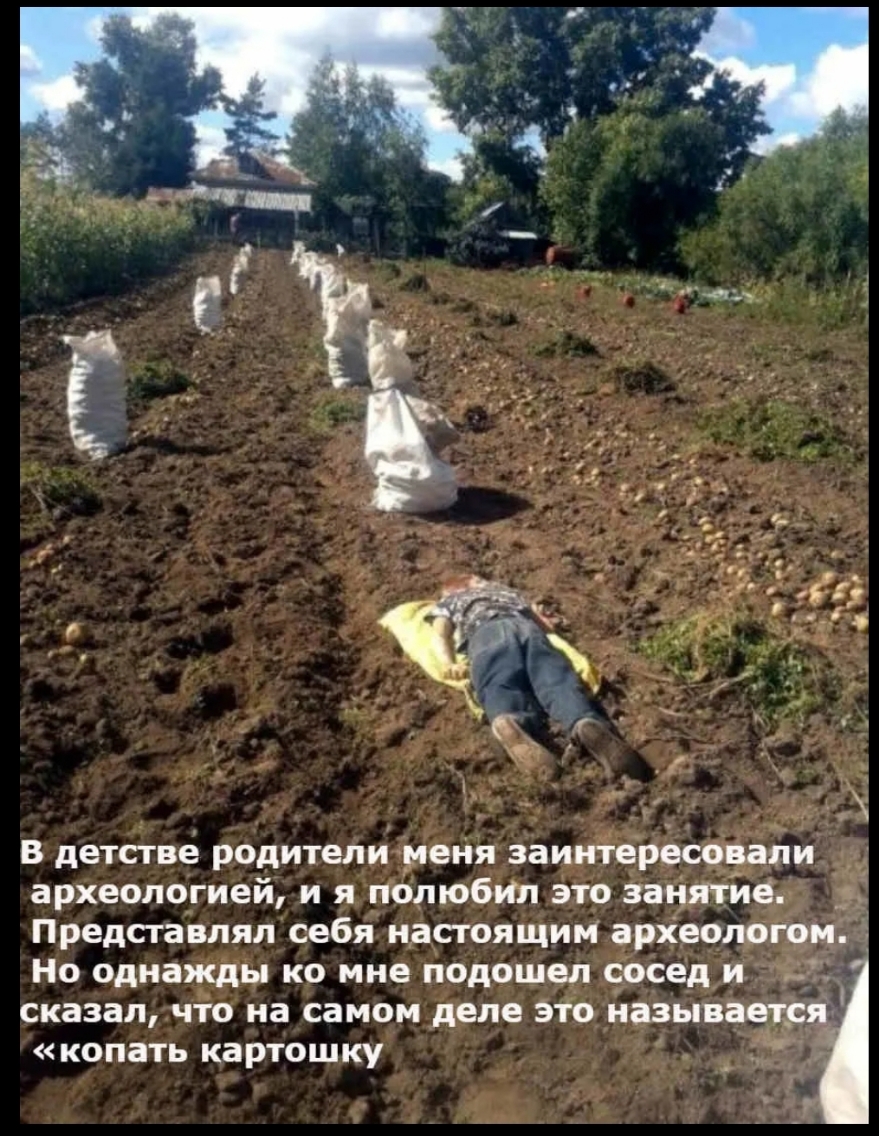 Ра К В детстве родителименя заинтересовали археологией и я полюбил это занятие Представлял себя настоящим археологом Но однажды ко мне подошел соседи 7 сказалчто на самом деле это называется копать картошку