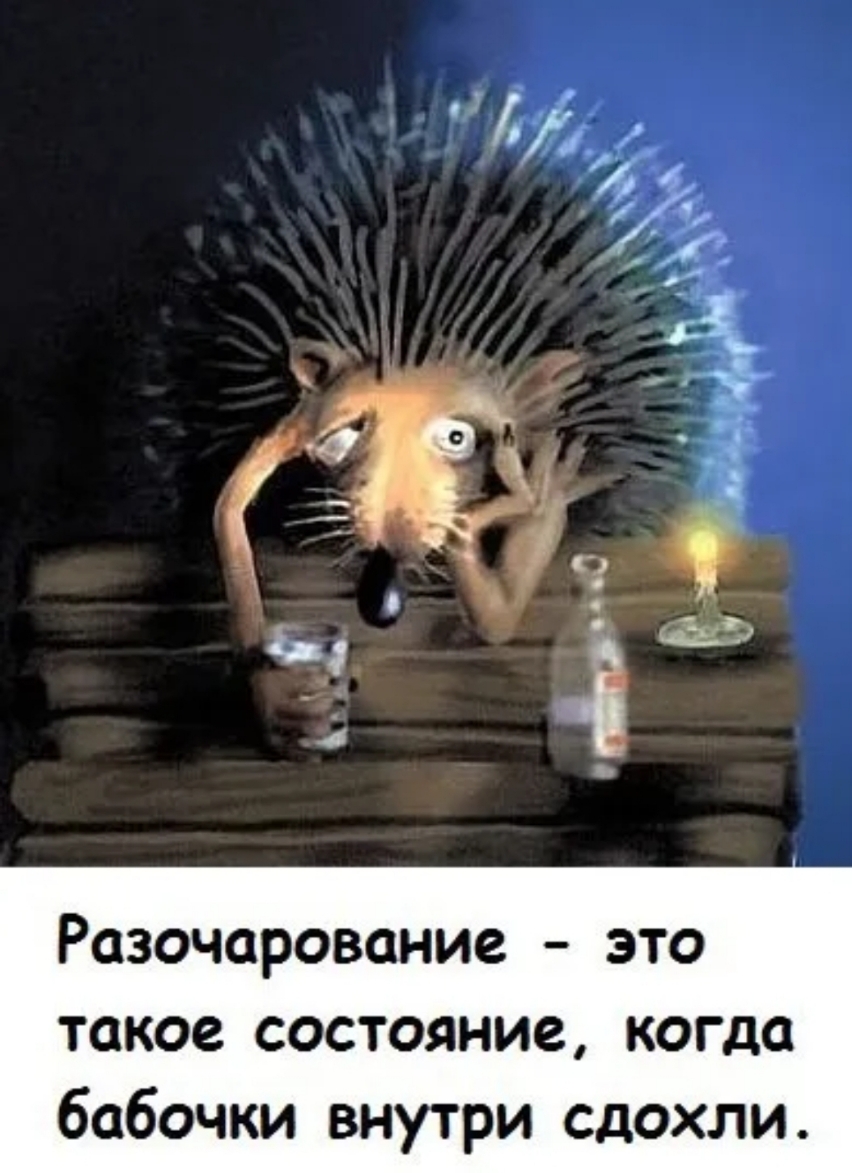 Разочарование это такое состояние когда бабочки внутри сдохли