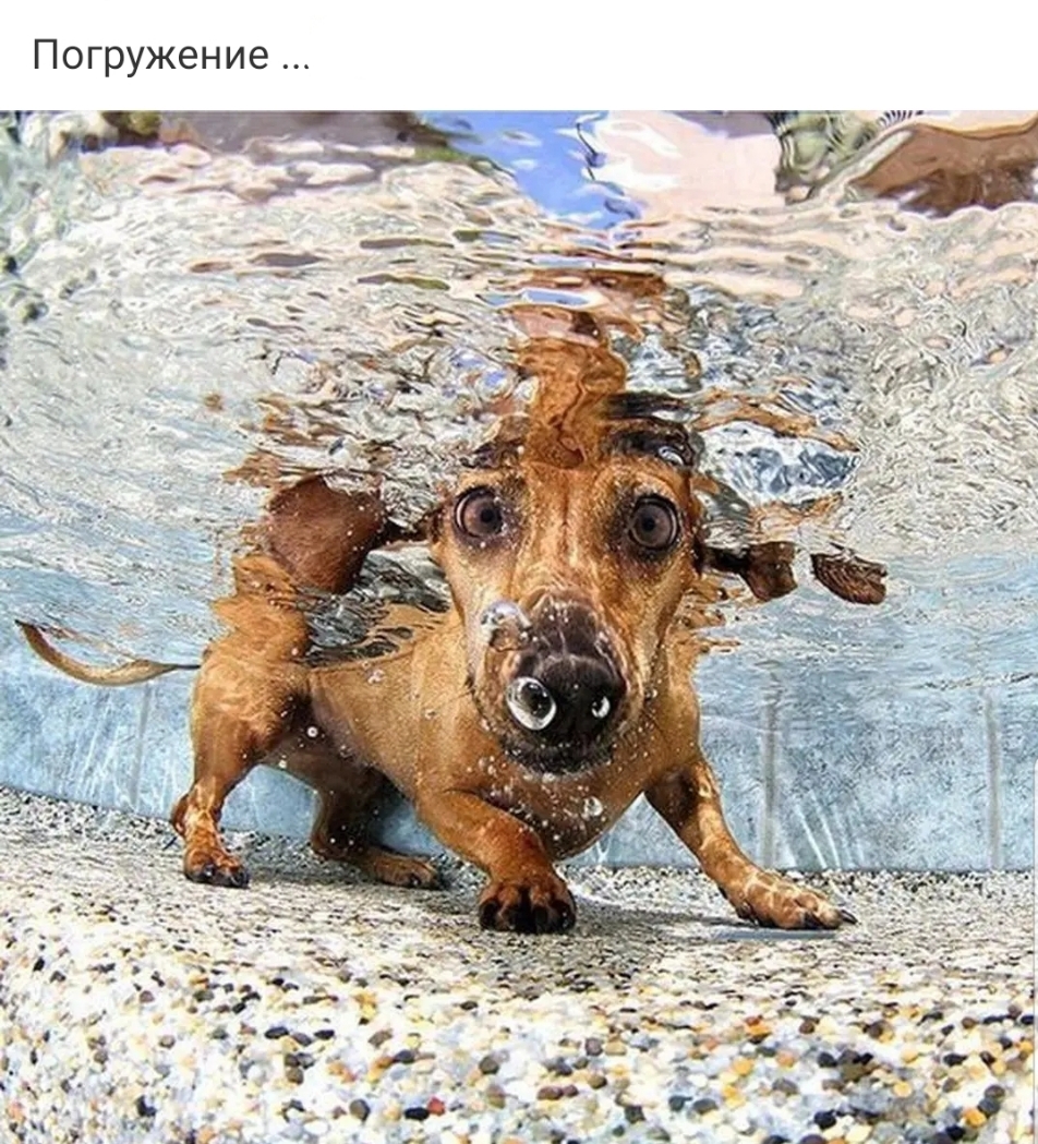Погружение