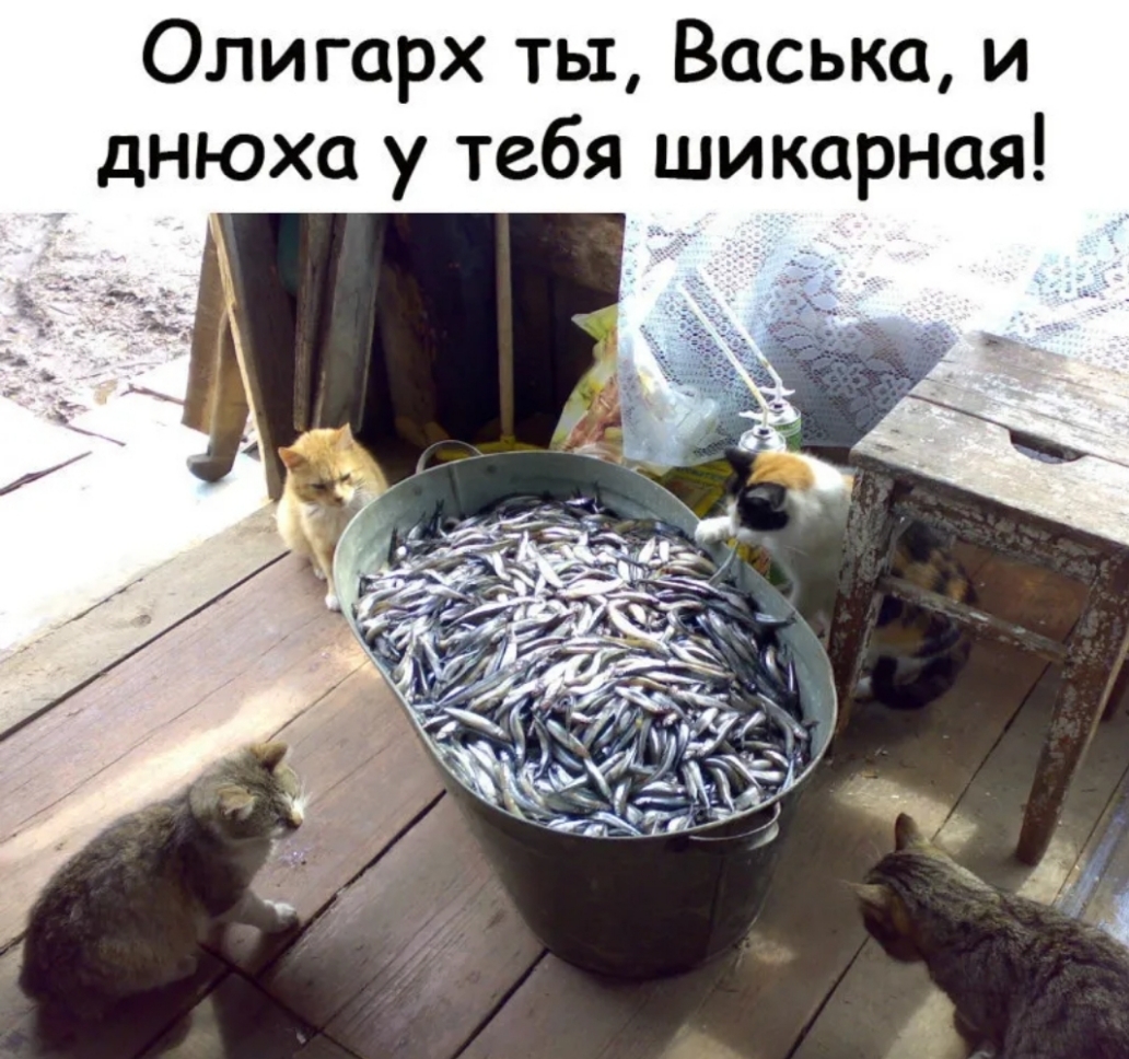 Олигарх ты Васька и днюха у тебя шикарная