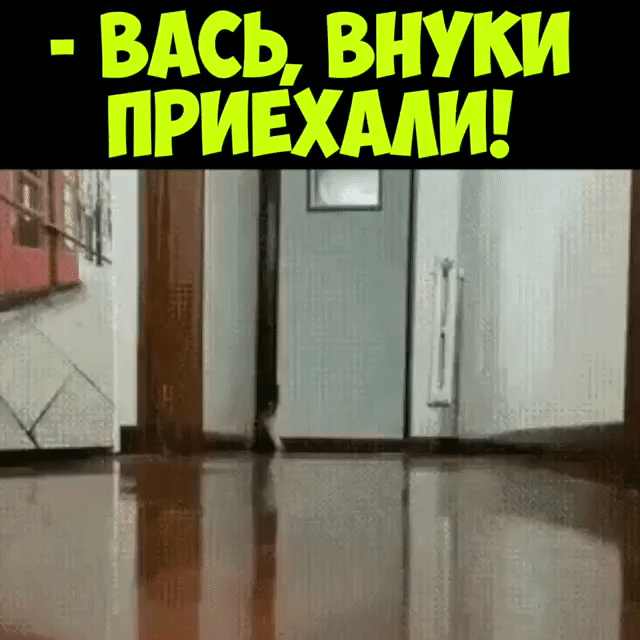 вдсь внуки привхмш