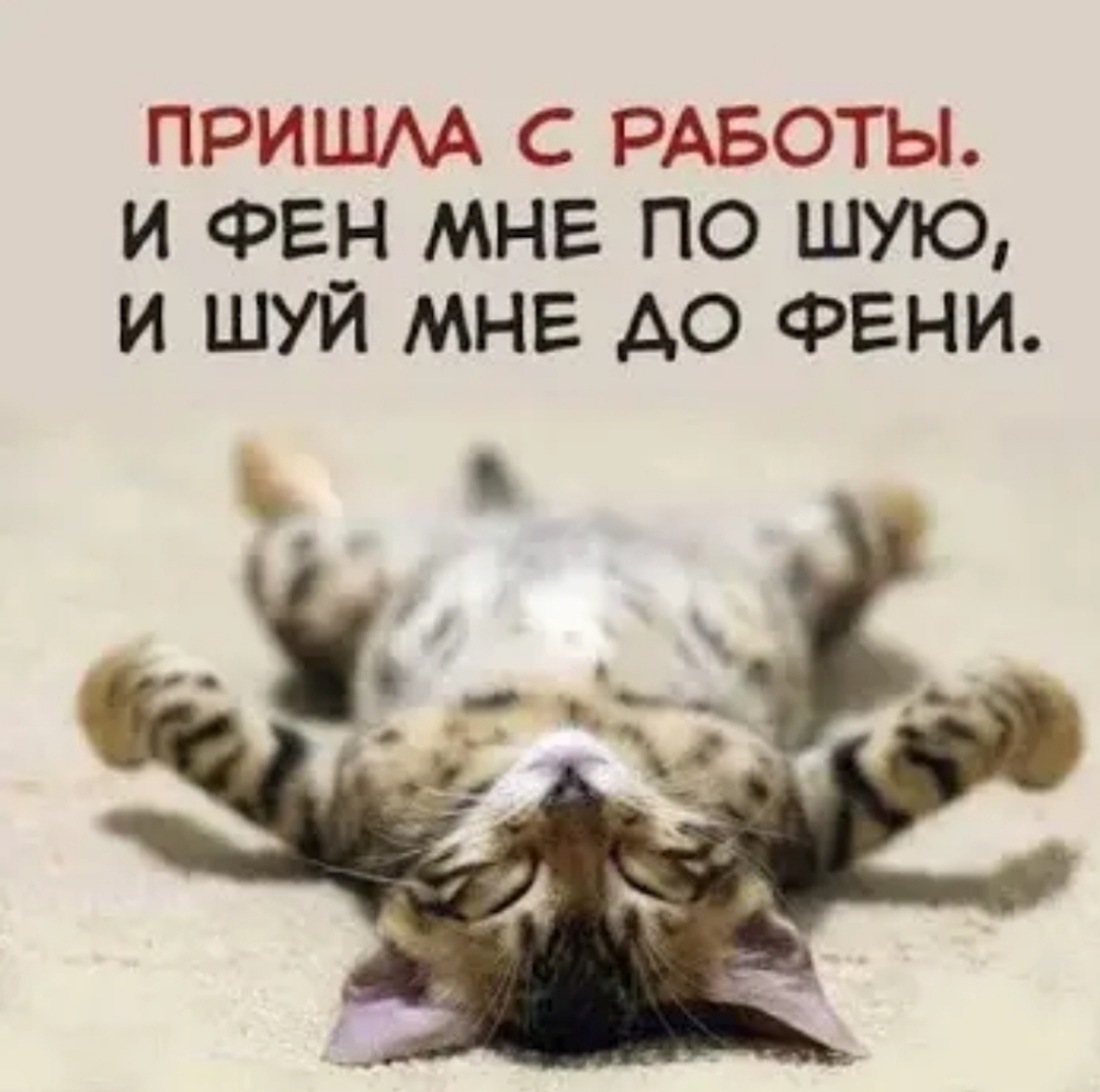 ПРИШАА С РАБОТЫ И ФЕН МНЕ ПО ШУЮ И ШУЙ МНЕ АО ФЕНИ