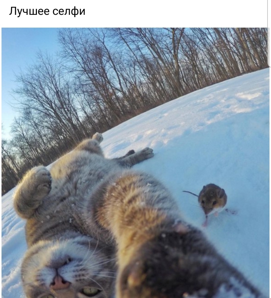 Лучшее селфи