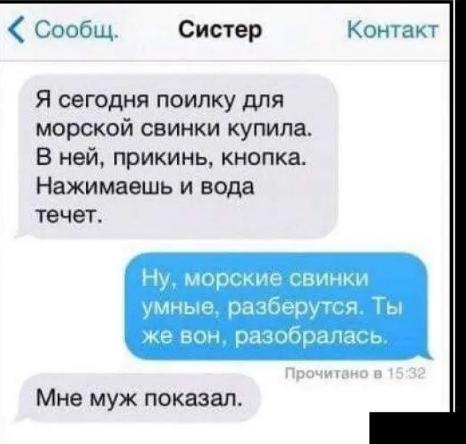 Сообщ Систер Конта Я сегодня поилку для морской свинки купила В ней прикинь кнопка Нажимаешь и вода течет Мне муж показал